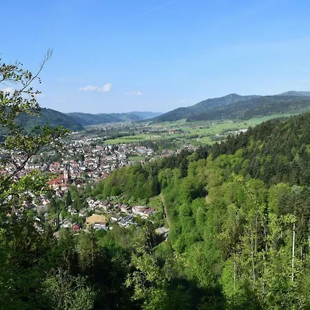Ferienwohnung Im Dettenbachtal *
