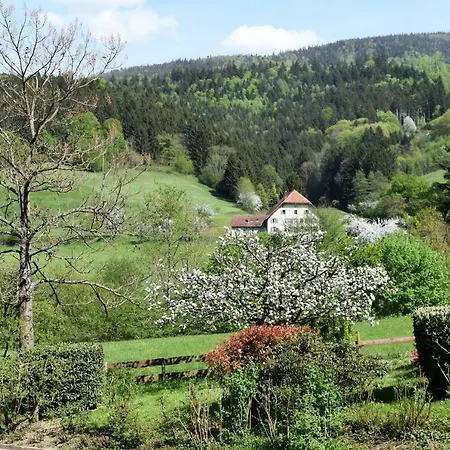 Ferienwohnung Im Dettenbachtal Apartment Waldkirch
